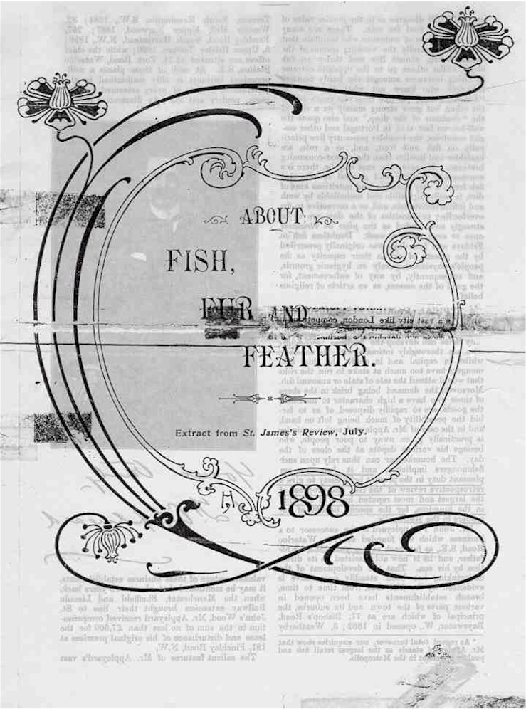 Article "About Fish, Fur and Feather", page 1