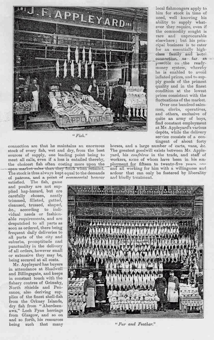 Article "About Fish, Fur and Feather", page 3